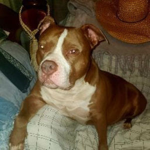 Meet your Posher, Cheryl